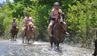 Bodrum Horse Safari - 3