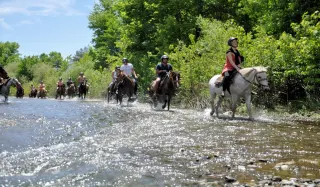 Bodrum Horse Safari - 1